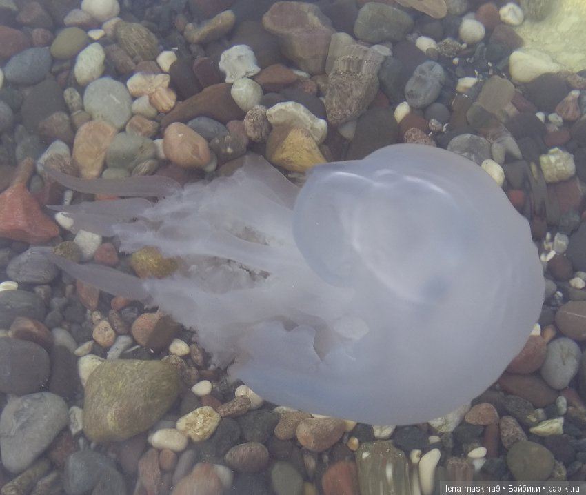 Море, солнце, отдых в Крыму, в Судаке