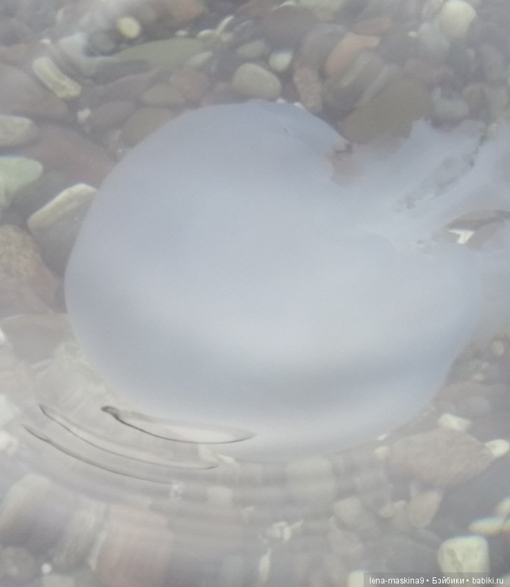 Море, солнце, отдых в Крыму, в Судаке