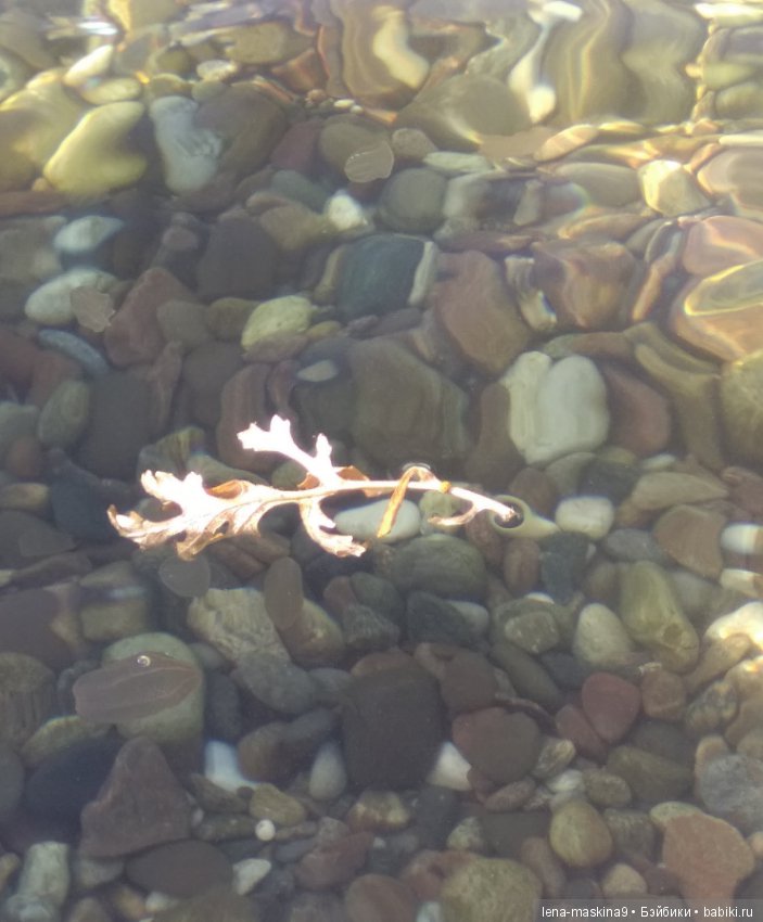 Море, солнце, отдых в Крыму, в Судаке