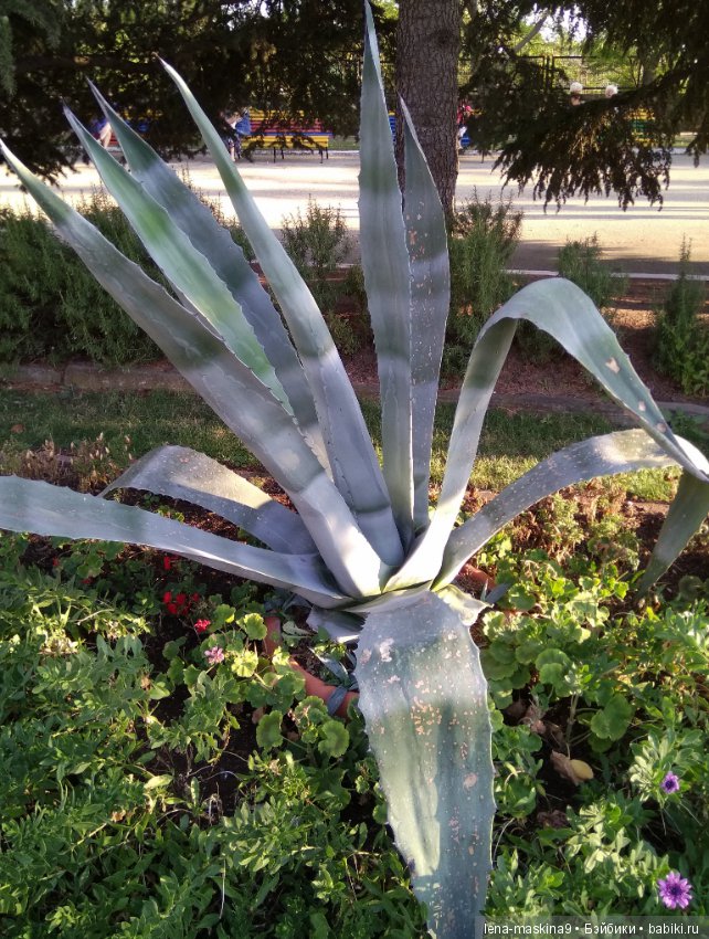 Отдых в Судаке - две сестры. Часть третья