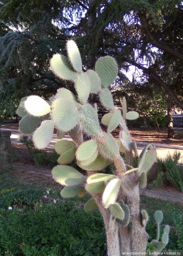 Отдых в Судаке - две сестры. Часть третья