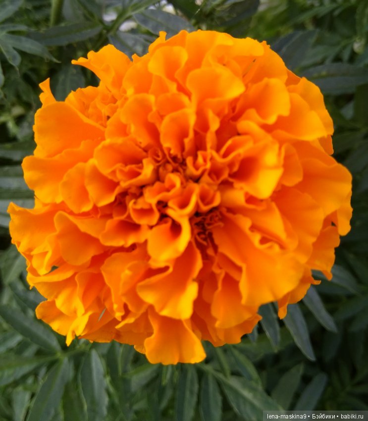 Море, солнце, отдых в Крыму, в Судаке (фото 2)