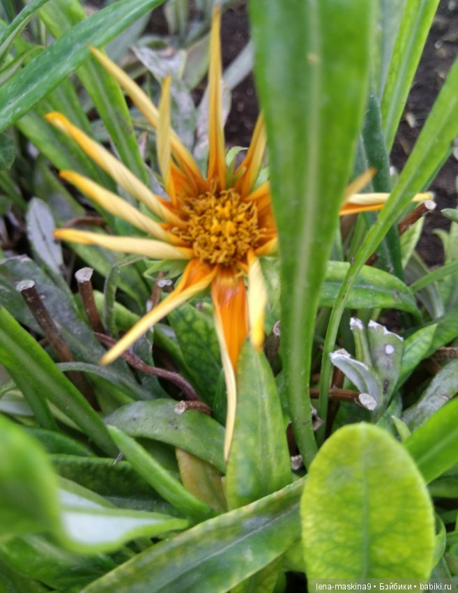 Море, солнце, отдых в Крыму, в Судаке