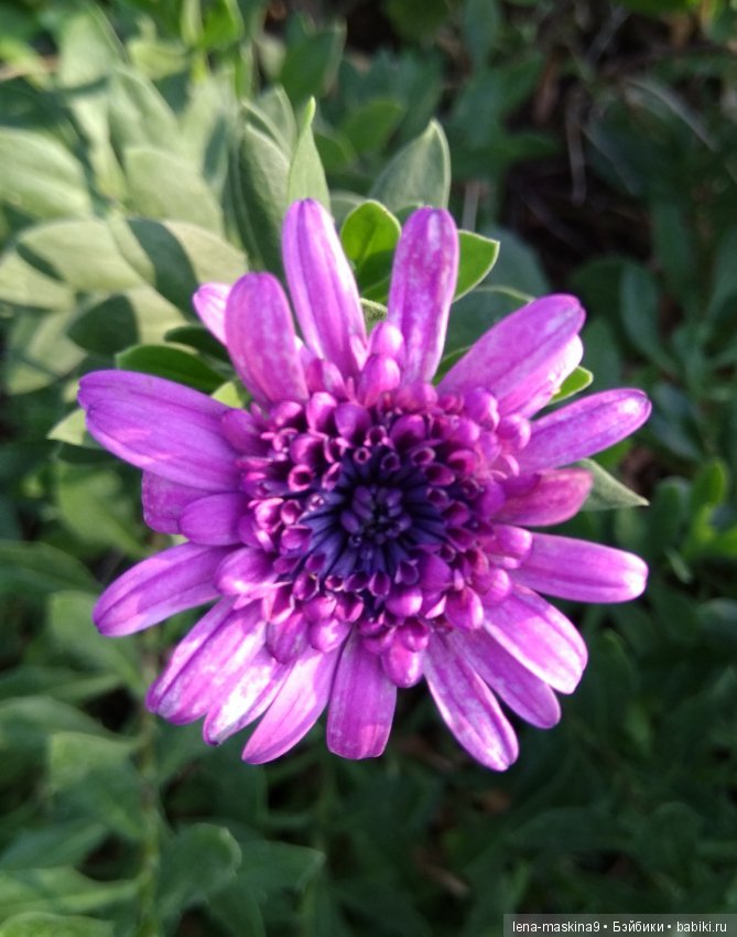 Море, солнце, отдых в Крыму, в Судаке (фото 3)