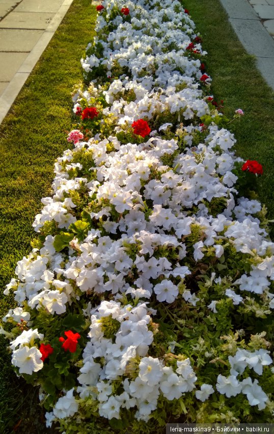 Море, солнце, отдых в Крыму, в Судаке (фото 4)