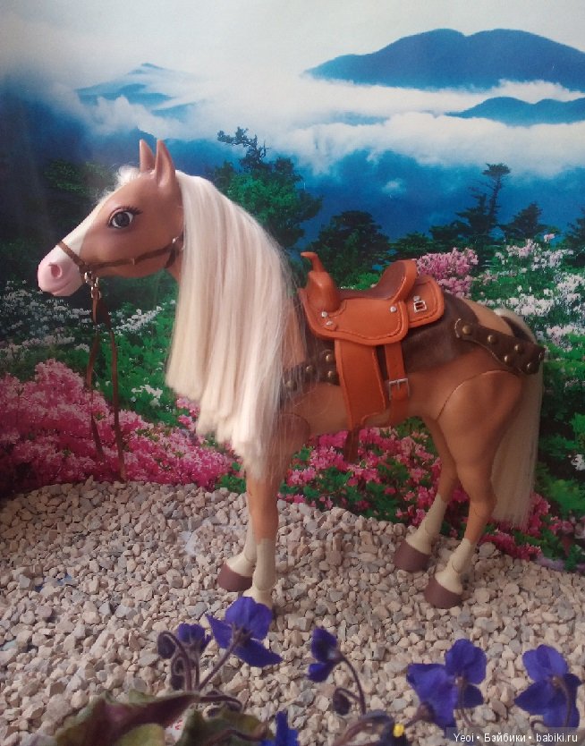 Фото лошади и мальчиков: Декстера, Хантера