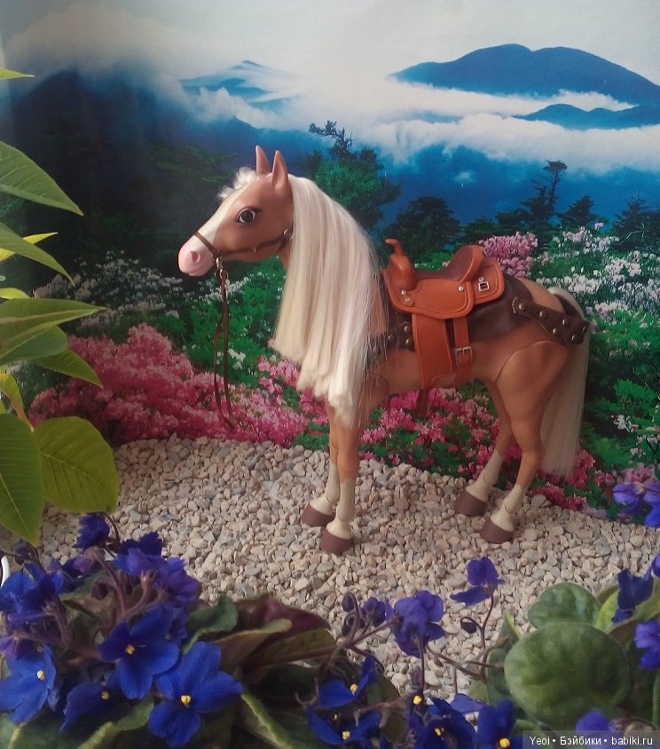 Фото лошади и мальчиков: Декстера, Хантера