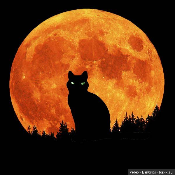 Пятница тринадцатое полнолуние, почти