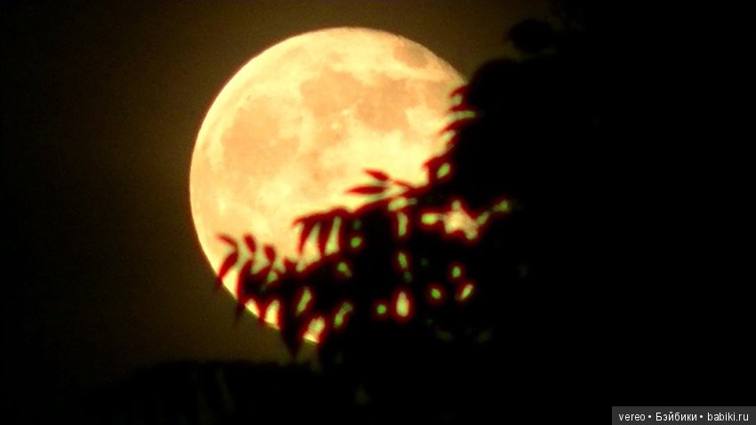 Пятница тринадцатое полнолуние, почти