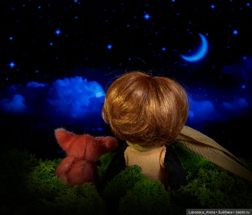 Эльфячьи зарисовки. Маленький принц (фото 6)