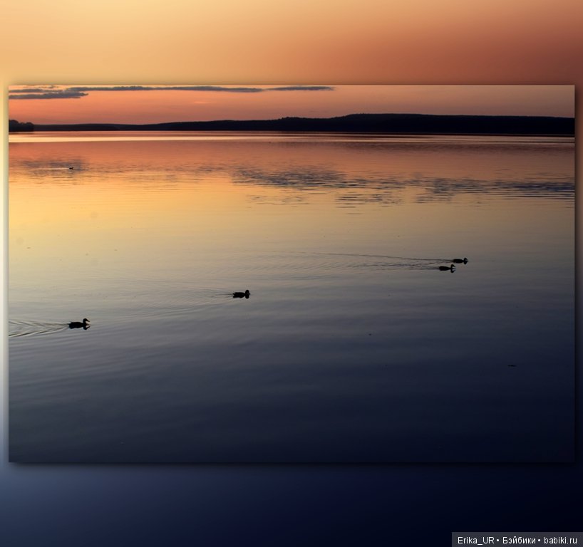 Перепись КуклоНаселения. 2 гибрида 1/4 + фото природы родного края