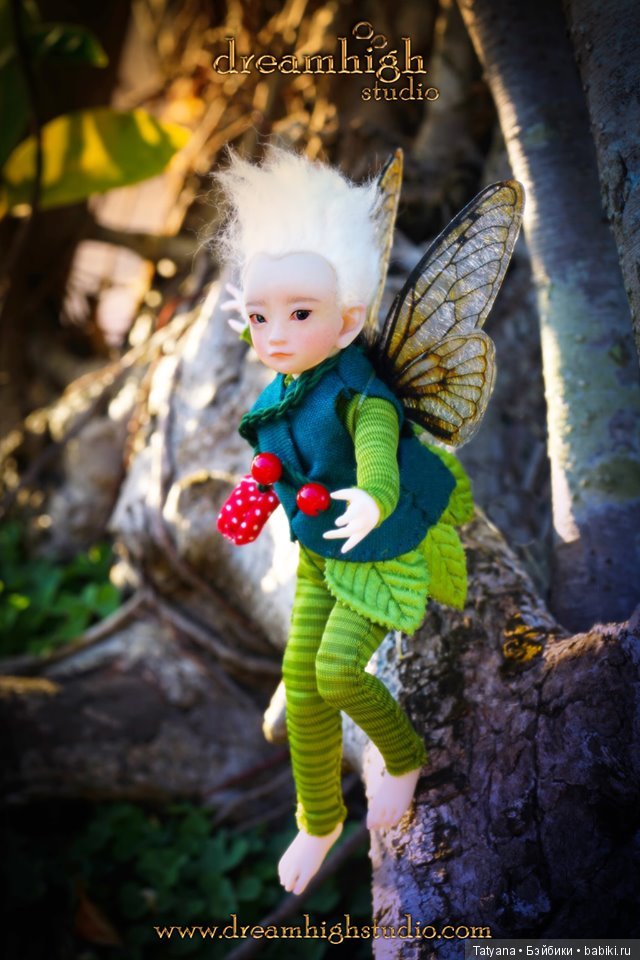 Dream High Studio - FINCH the fairy (фото 2)
