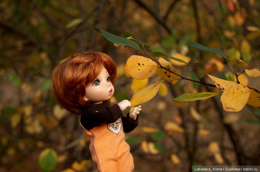 Эльфячьи зарисовки. Осень и много нового (фото 8)