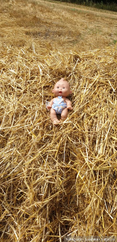 Как я сегодня топик писала или неугомонньій Вовка