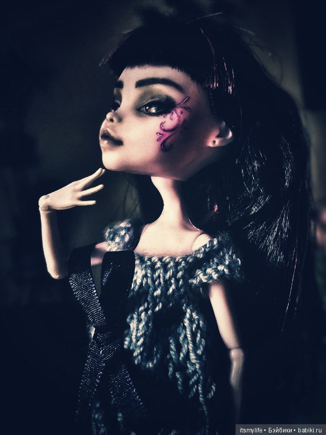 Скай приехал (Monster High, Монстер Хай) (фото 10)