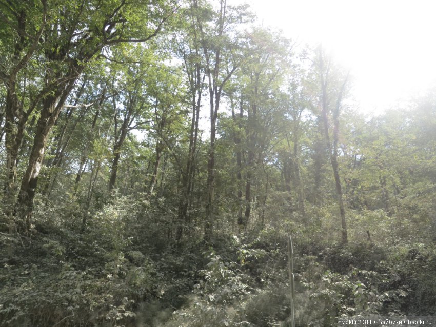 Путешествие на море, затем на Северный Кавказ через Шаумянский перевал