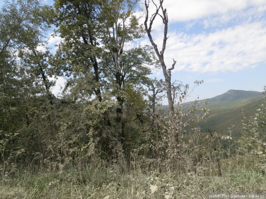 Путешествие на море, затем на Северный Кавказ через Шаумянский перевал