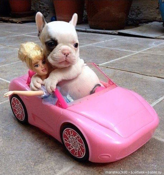 А давайте улыбнемся — Болталка и разговоры обо всем: жизнь (фото 3)