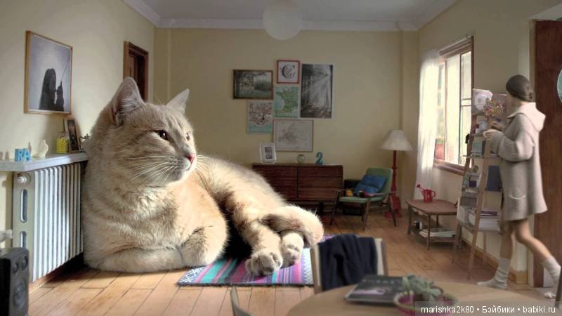 А давайте улыбнемся — Болталка и разговоры обо всем: жизнь