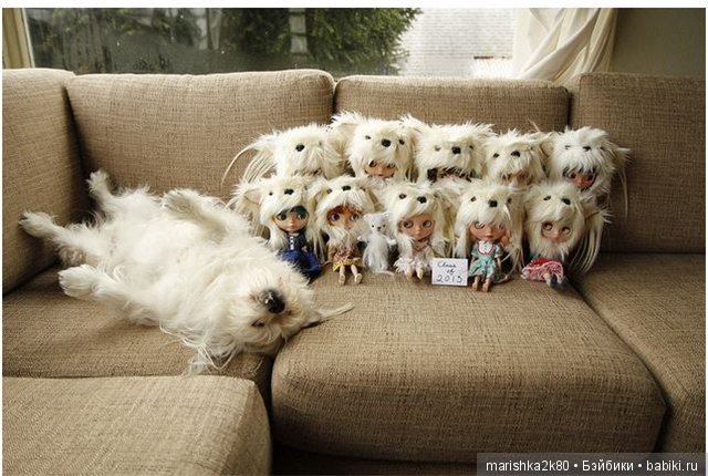 А давайте улыбнемся — Болталка и разговоры обо всем: жизнь