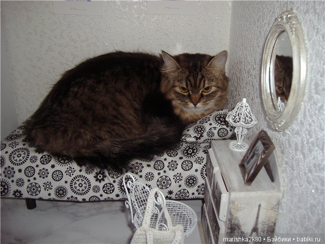 А давайте улыбнемся — Болталка и разговоры обо всем: жизнь (фото 2)