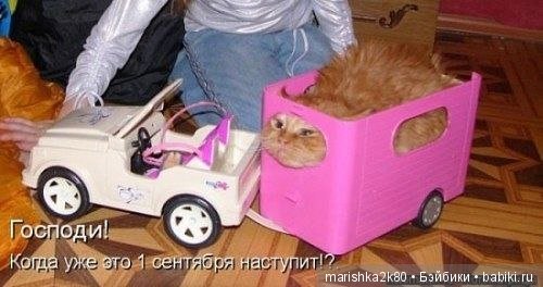 А давайте улыбнемся — Болталка и разговоры обо всем: жизнь