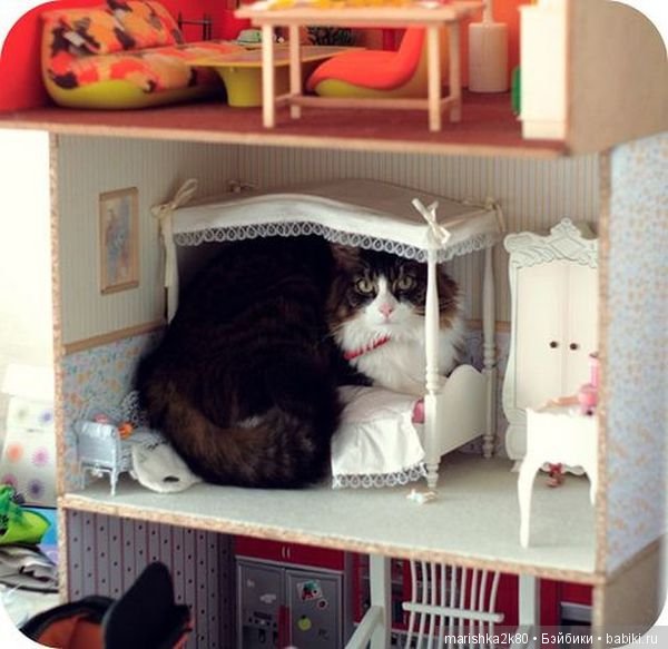 А давайте улыбнемся — Болталка и разговоры обо всем: жизнь