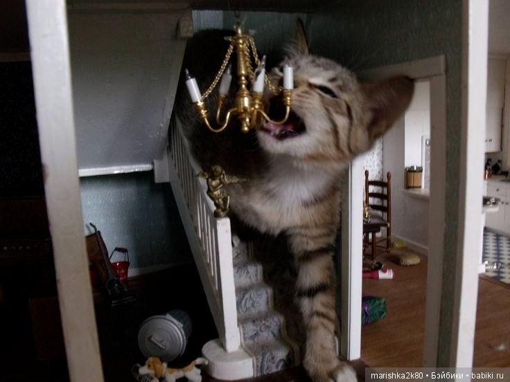 А давайте улыбнемся — Болталка и разговоры обо всем: жизнь (фото 4)