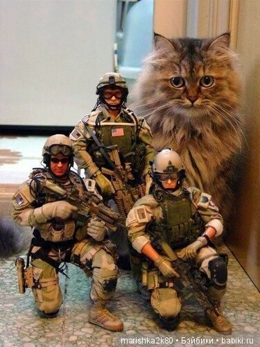 А давайте улыбнемся — Болталка и разговоры обо всем: жизнь