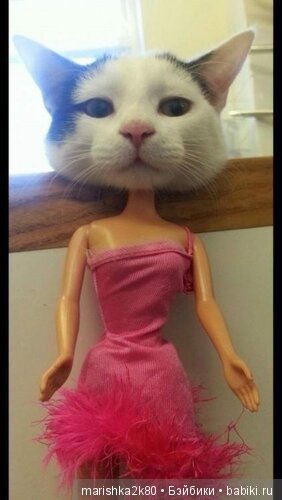 А давайте улыбнемся — Болталка и разговоры обо всем: жизнь (фото 7)