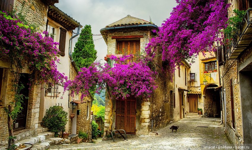 История Изабель или пряный аромат Прованса (фото 3)