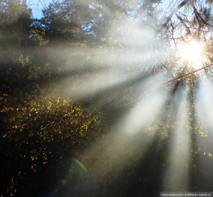 С Праздником! Дорогие друзья (фото 6)