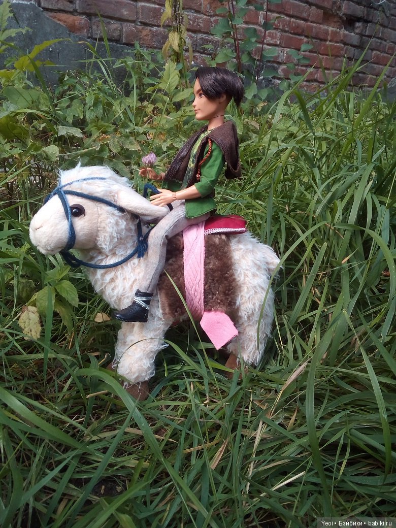 Хантер на природе и верхом на ламе (фото 8)