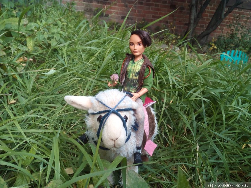 Хантер на природе и верхом на ламе (фото 7)