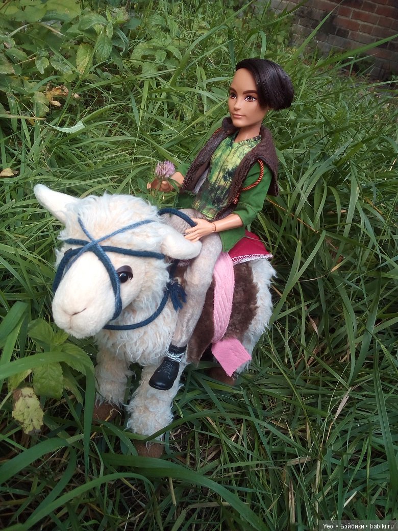 Хантер на природе и верхом на ламе (фото 5)