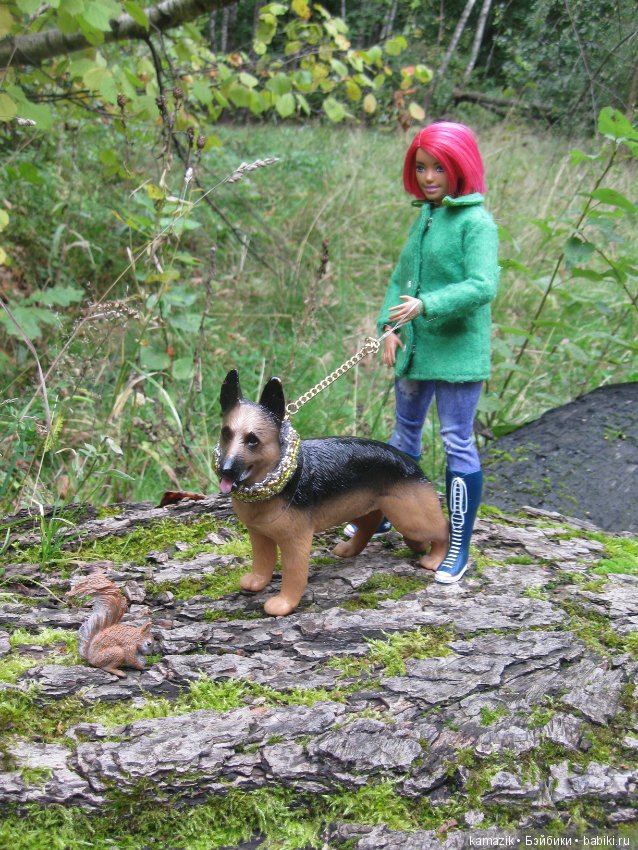 Рита всё гуляет. Другая сторона леса (фото 10)