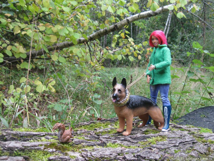 Рита всё гуляет. Другая сторона леса