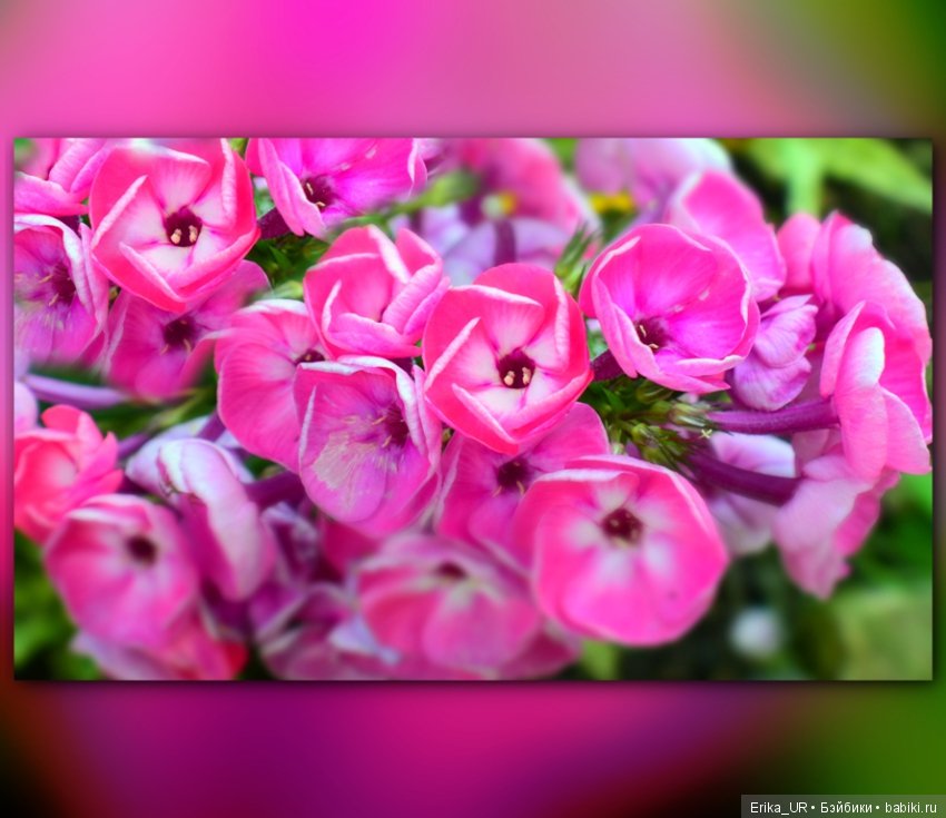 Перепись КуклоНаселения. Пупсы - тыковки (фото 7)