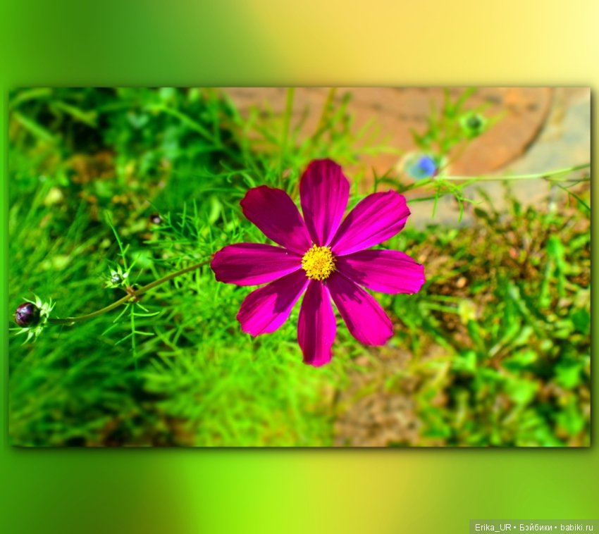 Перепись КуклоНаселения. Пупсы - тыковки (фото 3)