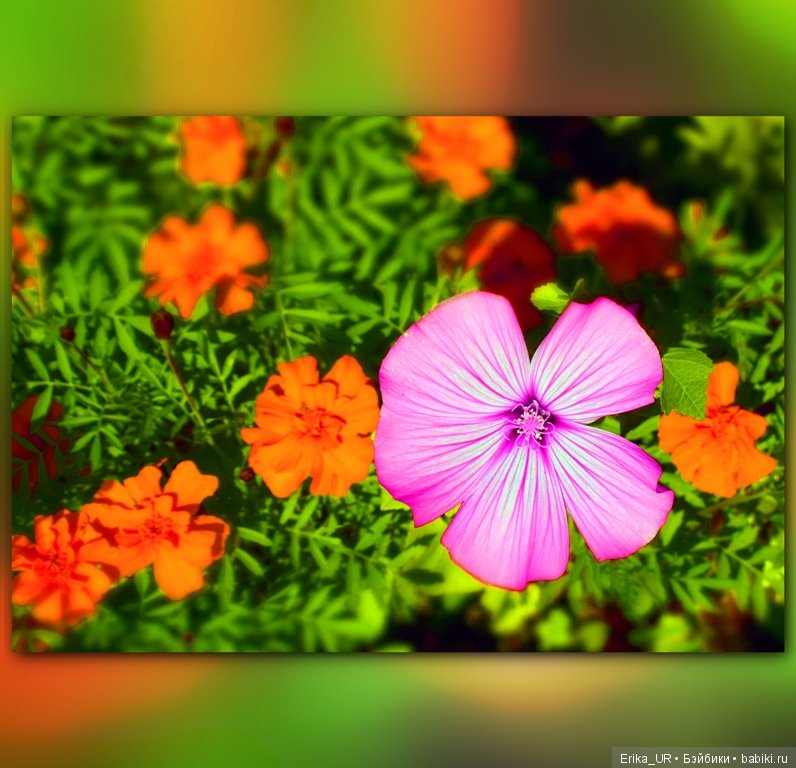 Перепись КуклоНаселения. Пупсы - тыковки (фото 5)