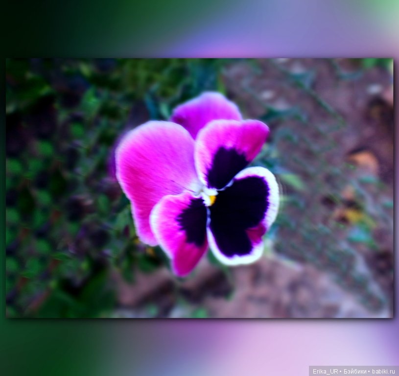 Перепись КуклоНаселения. Пупсы - тыковки