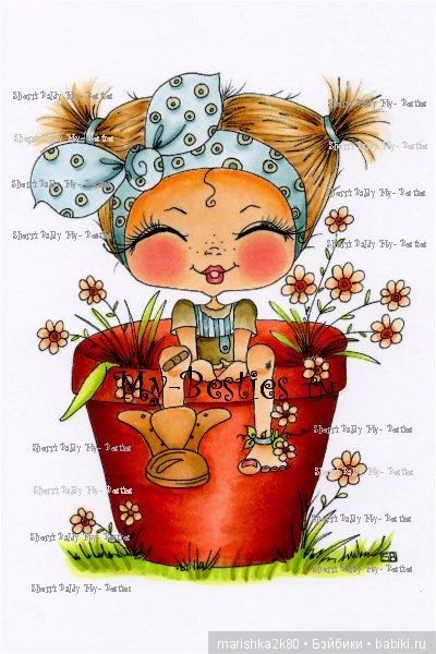 Красивые картинки куколок