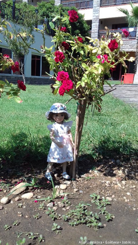 Снова туда, где солнце, море и цветы