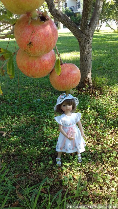 Снова туда, где солнце, море и цветы