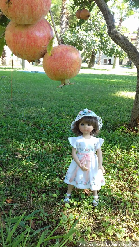 Снова туда, где солнце, море и цветы