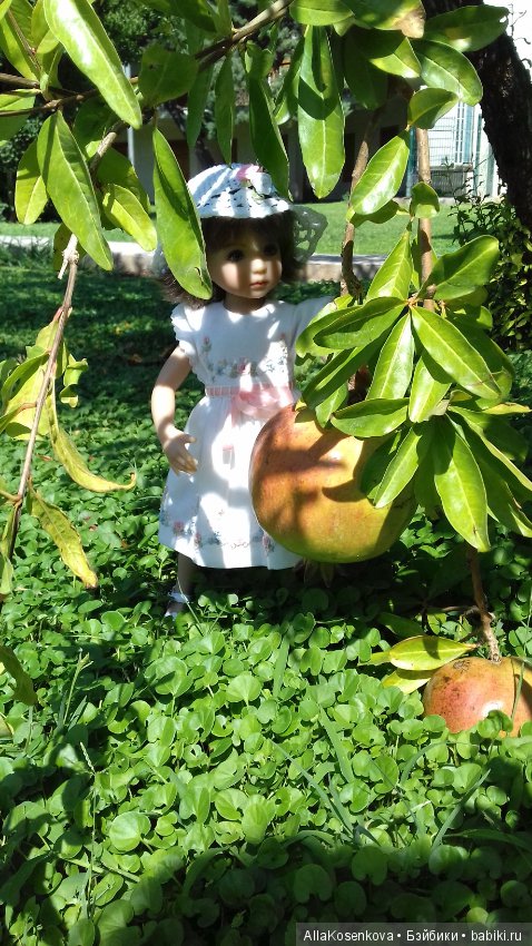 Снова туда, где солнце, море и цветы