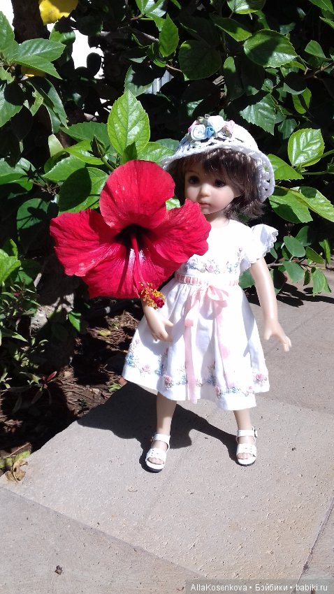 Снова туда, где солнце, море и цветы