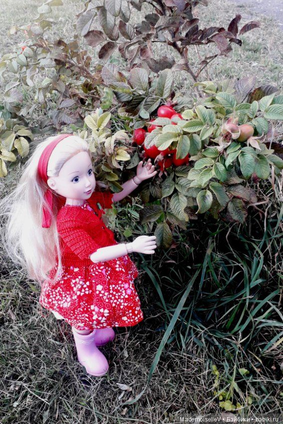 Мотопрогулка — Болталка и разговоры обо всем: жизнь (фото 10)