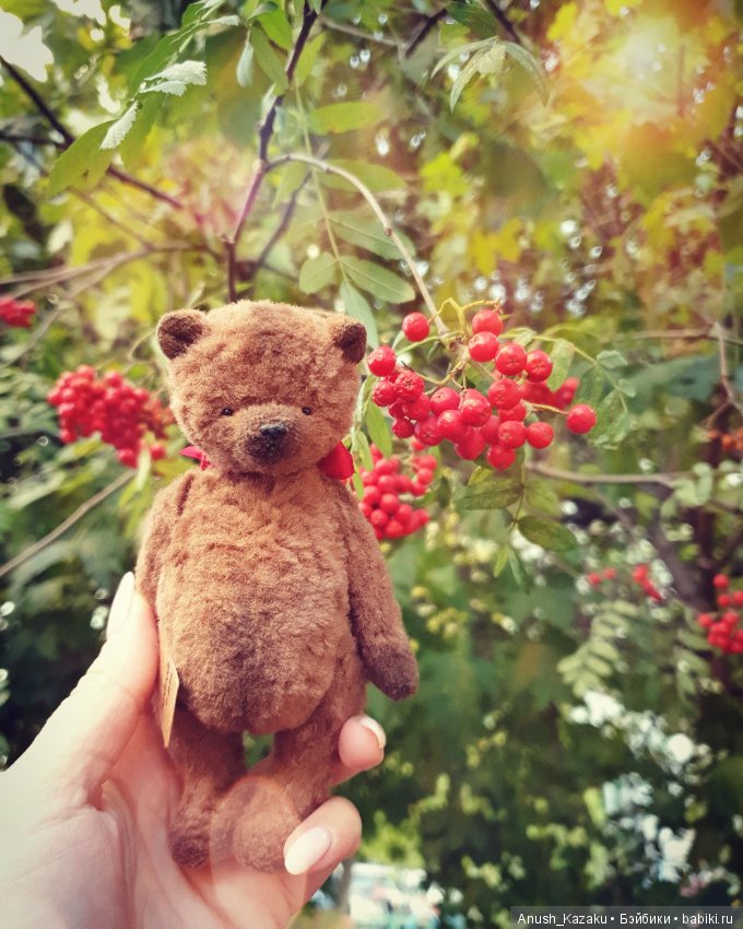 Мишка тедди / Мишки тедди и друзья / Бэйбики. Куклы фото