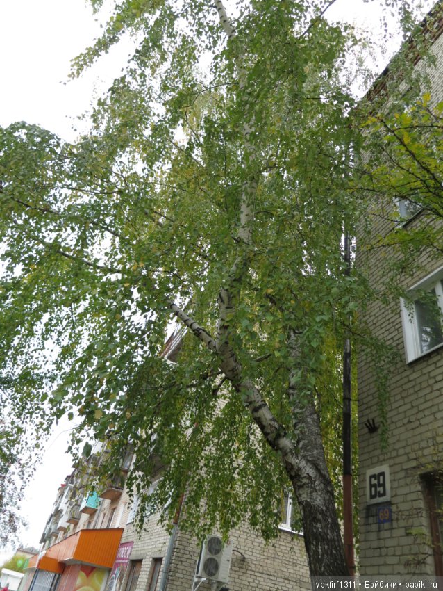 Осень ты прекрасна — Болталка и разговоры обо всем: жизнь (фото 5)